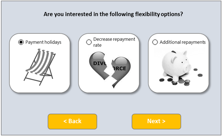 Flexibility Opeions