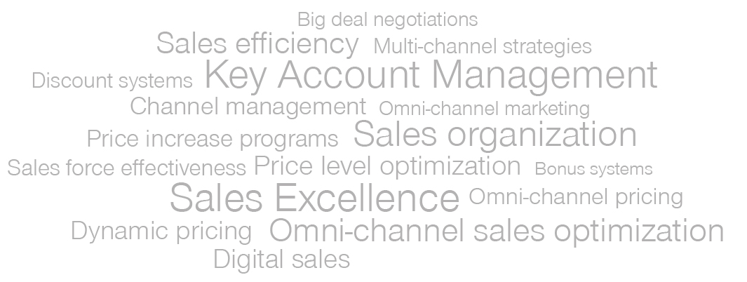Simon-Kucher capabilities - sales