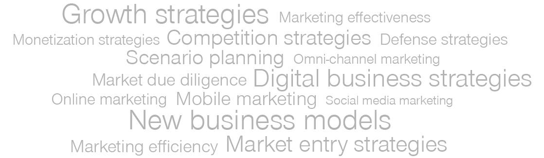 Simon-Kucher capabilities - strategy