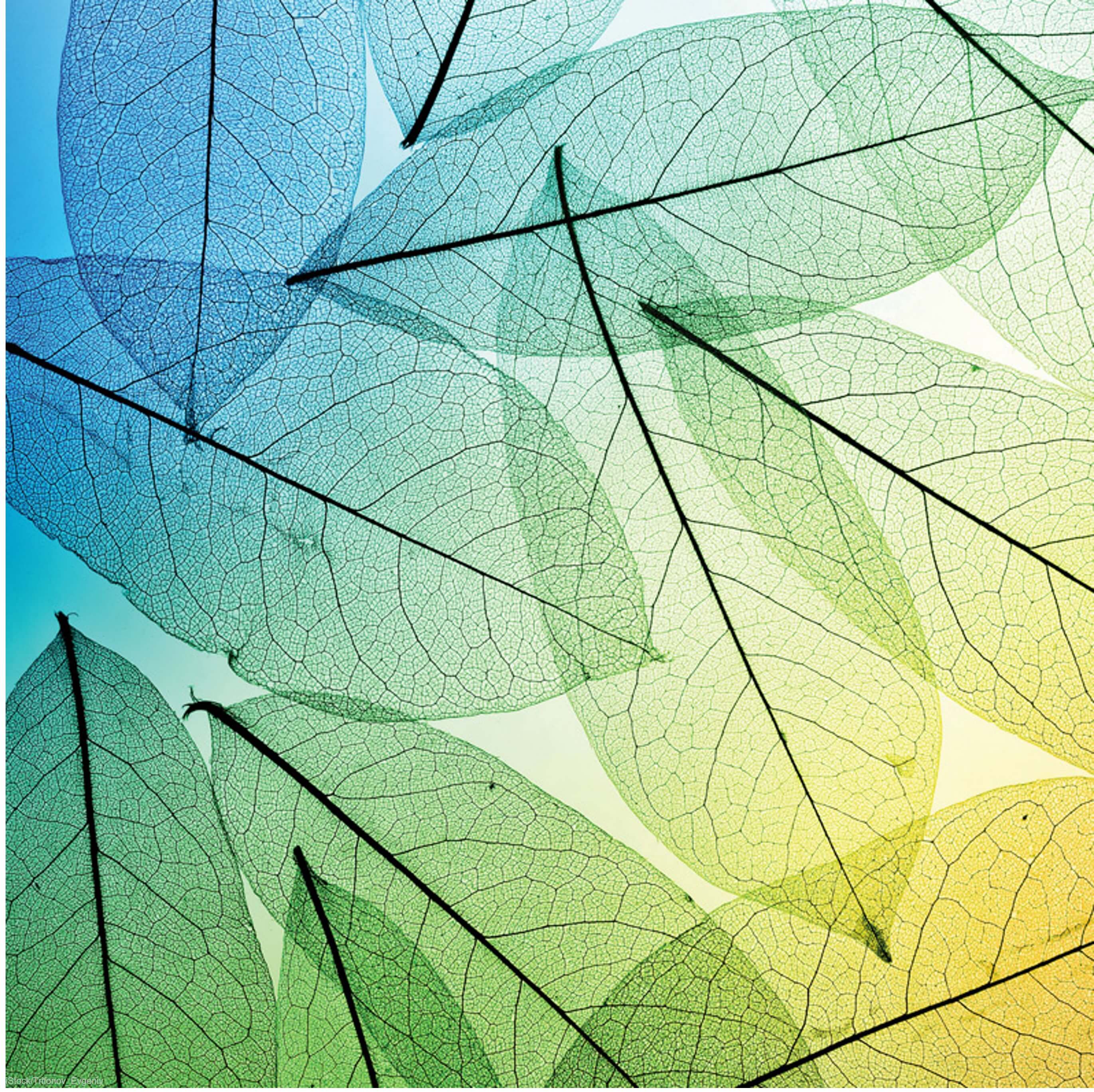 winning-sustainable-consumers-simon-kucher