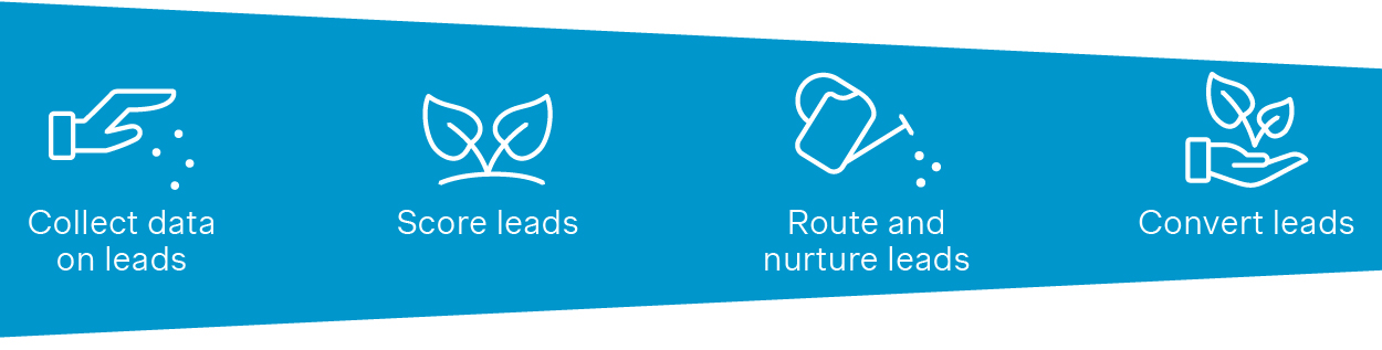 Automated lead generation and nurturing process with lead segmentation and sales approach based on value and likelihood convert