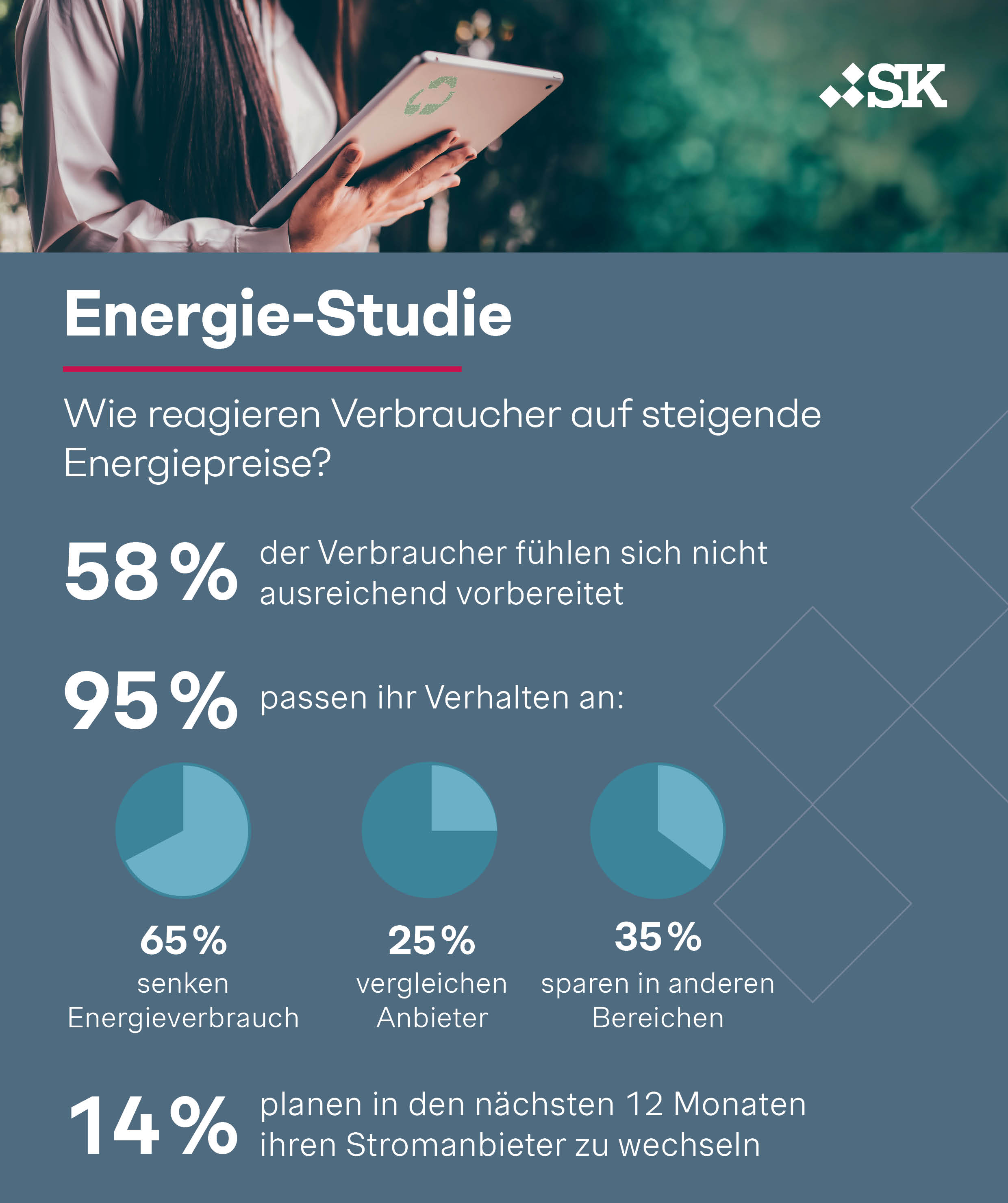 Simon-Kucher Energie-Studie: Wie reagieren Verbraucher in Österreich auf steugende Energiepreise?