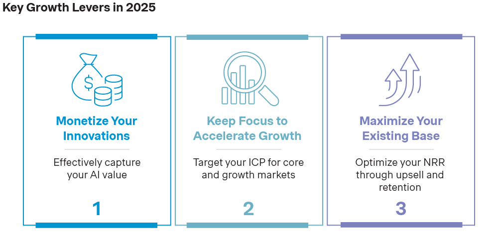 Key Growth Levers in 2025