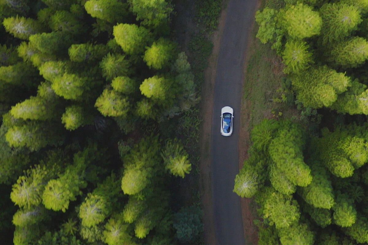 car-driving-in-forest