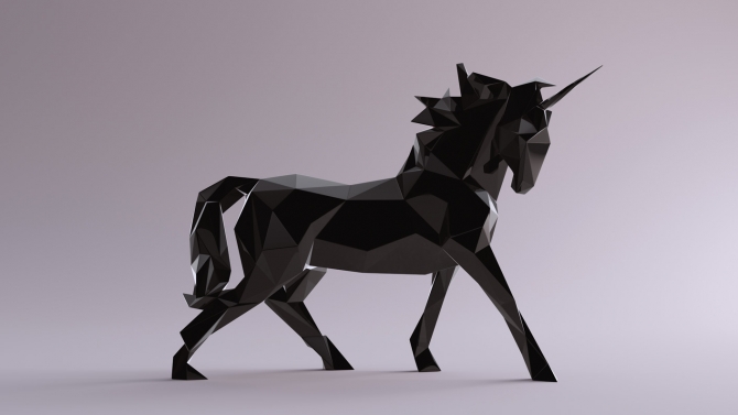 Taking Companies to the Next Level: Unicorns
