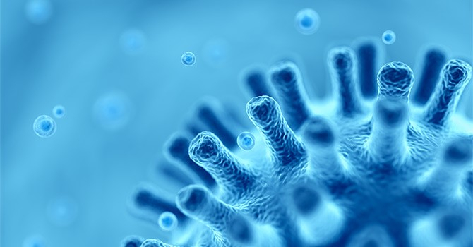 corona virus under microscope