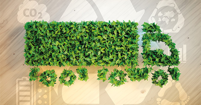 green logistics