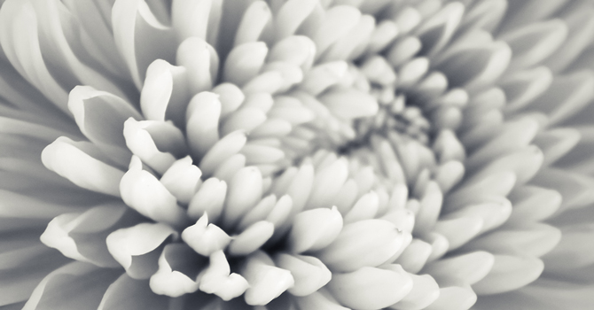 sustainability image header