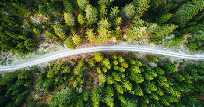 Blog Green Logistics