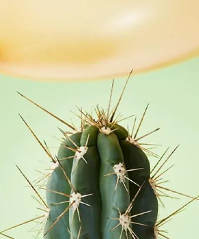 inflation pricing study