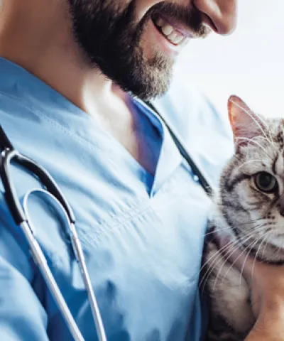 animal health