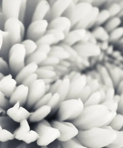 thrive on sustainability