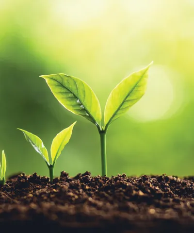 ESG_Blog_FR