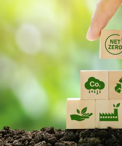 netzero