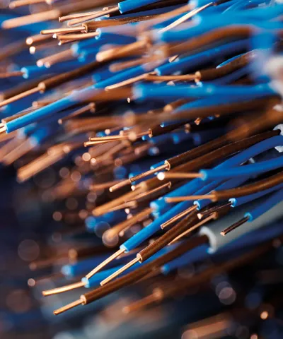 Image of cut wires with wire exposed