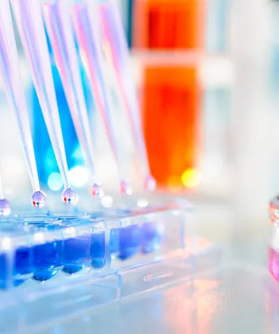 CDMO industry 2024 outlook