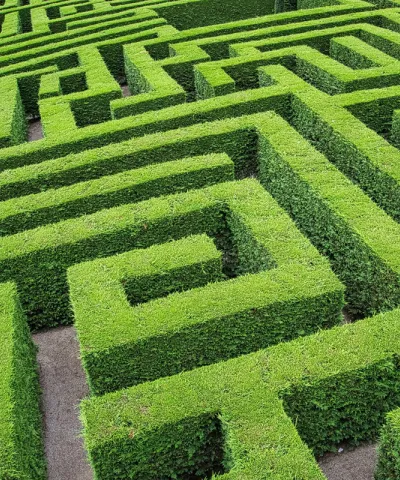 Operational Monetization