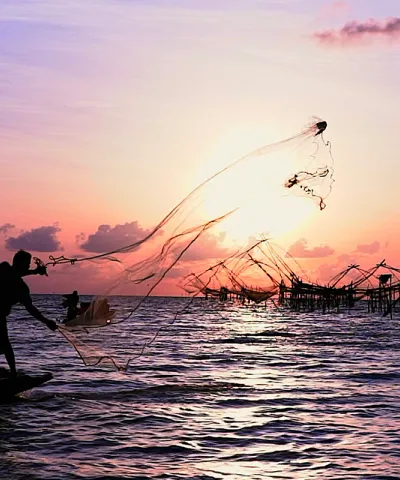 InsuranceAggregators