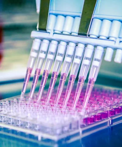 blog precision medicine