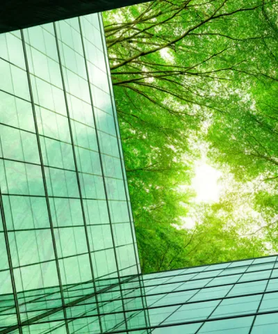 trees through office building
