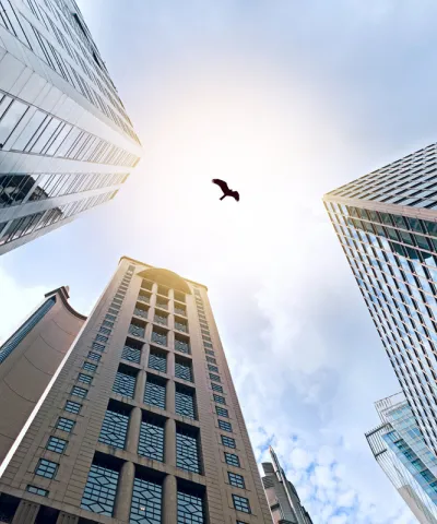 growth acceleration header