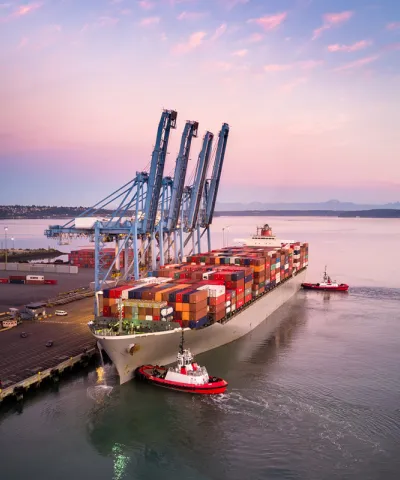 Visual of supply chain impact