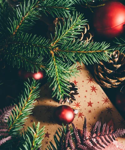 2026 Holiday Shopping Study