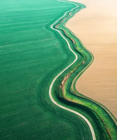 sustainability