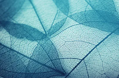 Global Sustainability Study