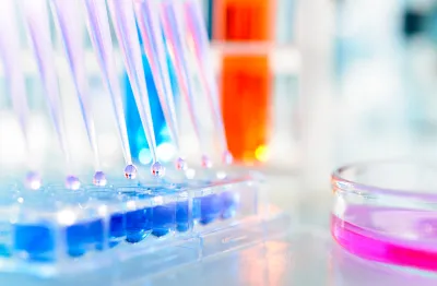 CDMO industry 2024 outlook 