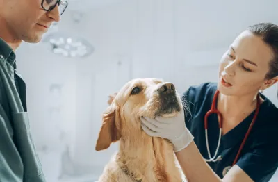  animal health product