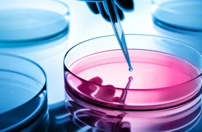Helping a global biotech leader monetize newly acquired cell line solutions