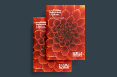 insight brochure