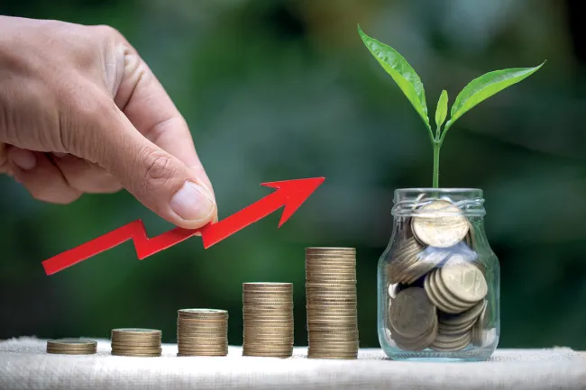 Sustainable growth