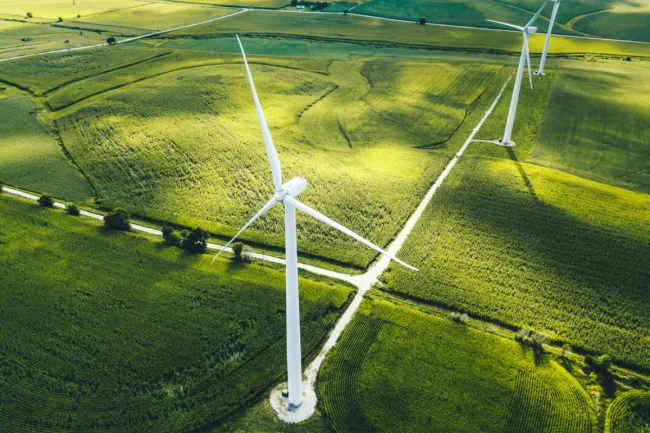green energy field windturbine