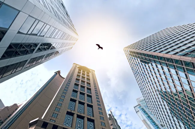 Skyscrapper