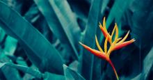 sustainable banking