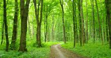 sustainable logistics