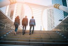 Dutch B2B companies