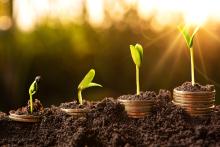 sustainability in B2B