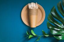sustainability in restaurants