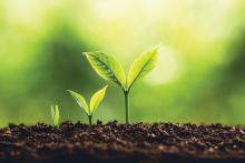 ESG_Blog_FR