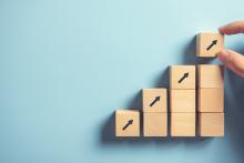 business growth