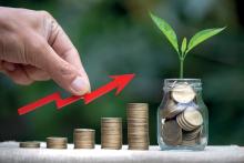 Sustainable growth