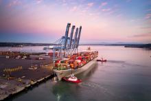 Visual of supply chain impact