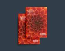 insight brochure