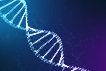 Pharma & Biotech Insights