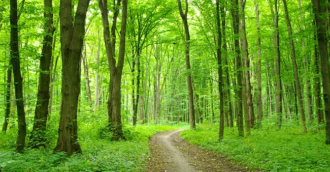 sustainable logistics