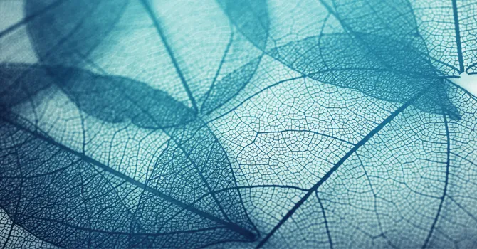 Global Sustainability Study