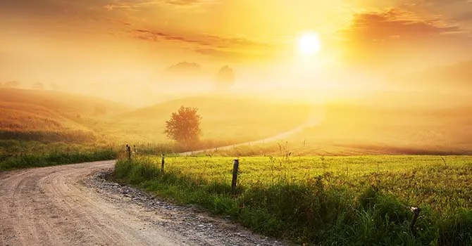 Companies Get Back to Growth